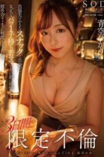 The Resilient Single Mother (2024)