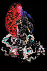 Björk: Cornucopia (2025)