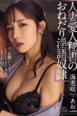 Married Lover Secretary’s Seductive (2025)