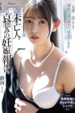 The Widow’s Sad Pregnancy Report (2025)