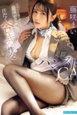 Flight Attendant In Pantyhose (2026)