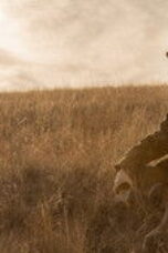 The Madison Season 1 Episode 2